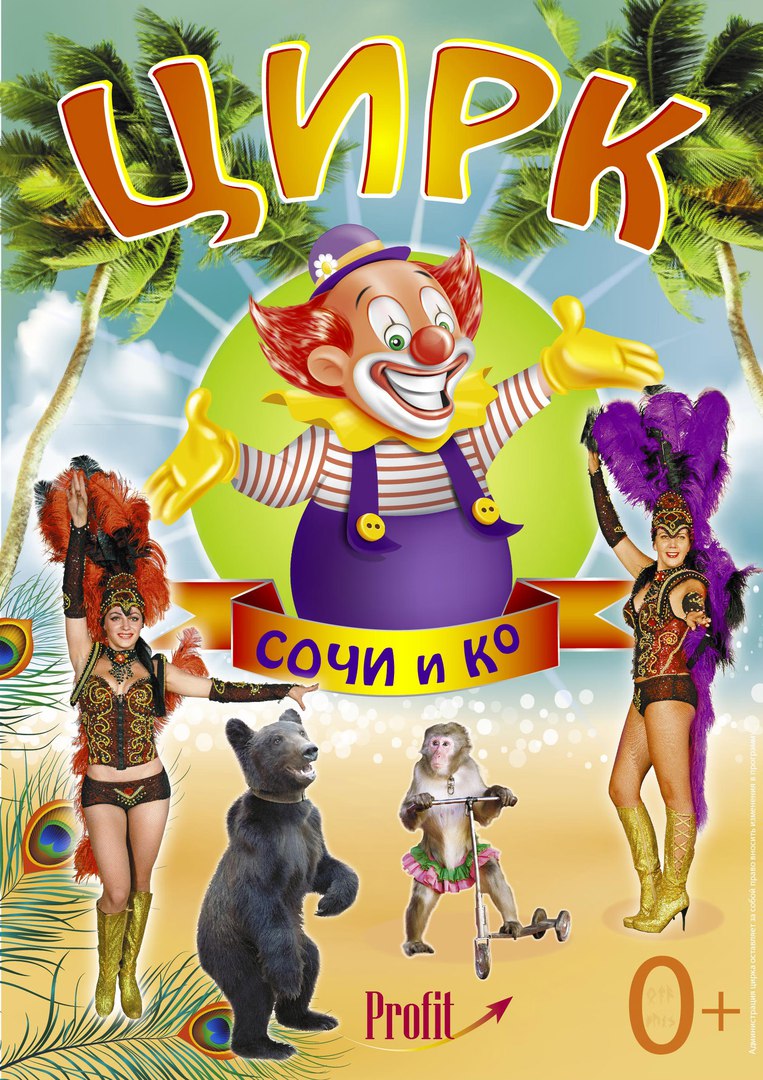 Сочинский цирк билеты